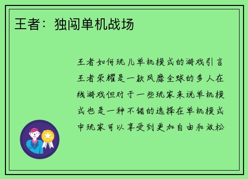王者：独闯单机战场